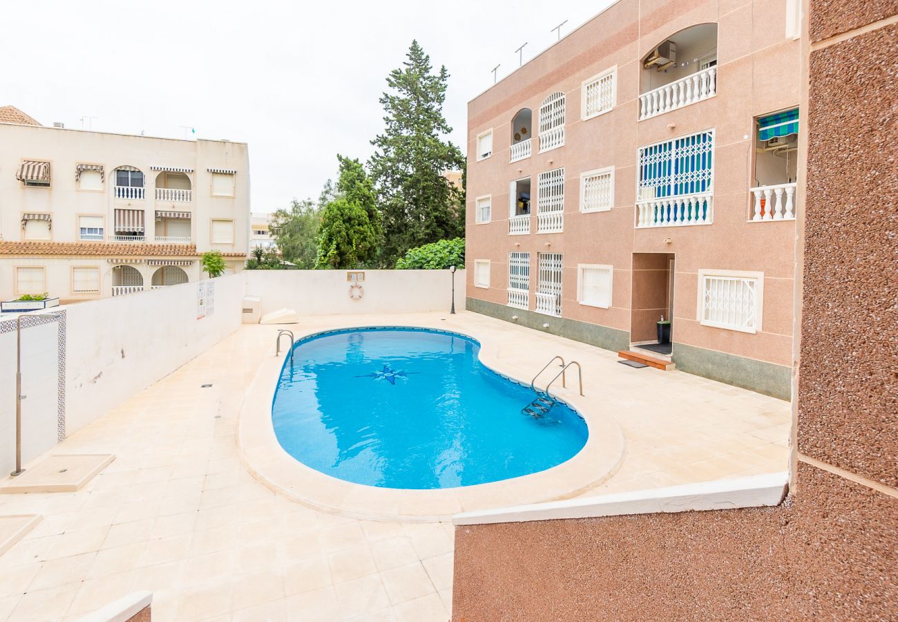 Apartment in Torrevieja - ID70
