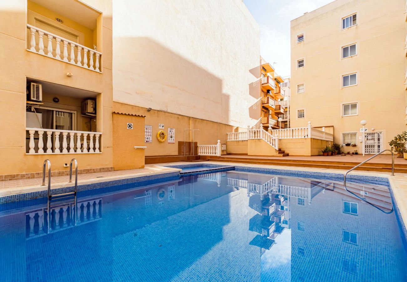 Apartment in Torrevieja - ID93