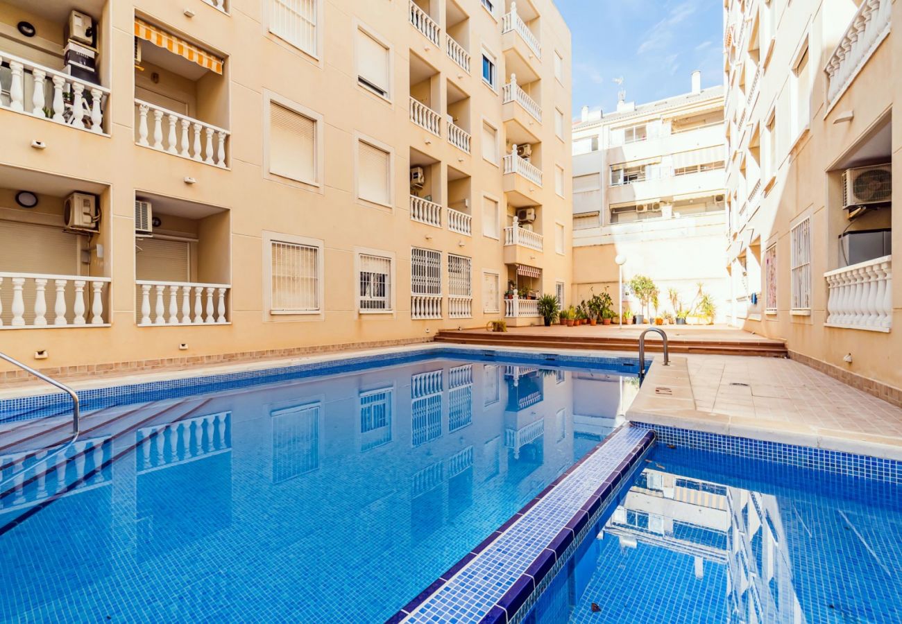 Apartment in Torrevieja - ID93