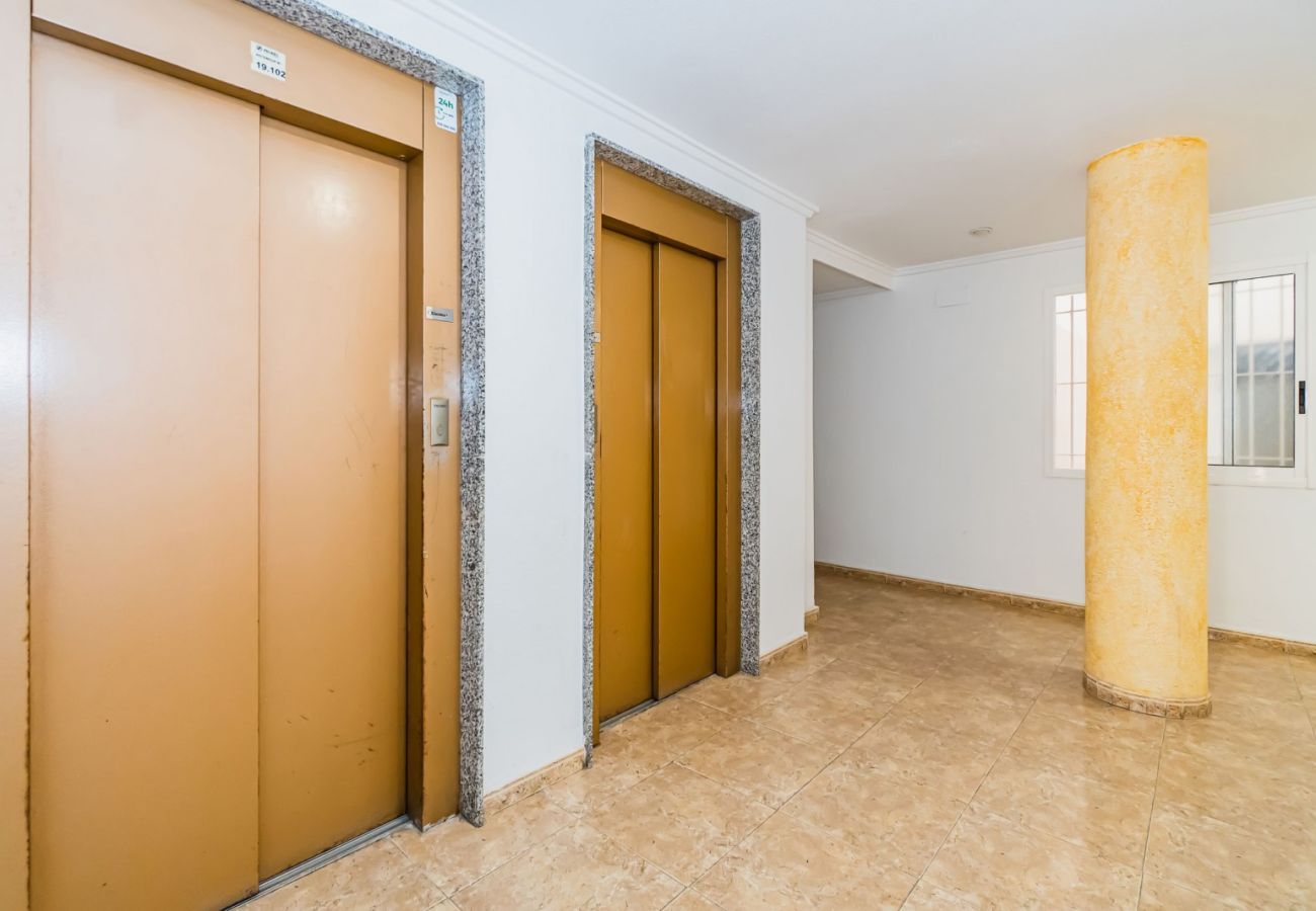 Apartment in Torrevieja - ID93