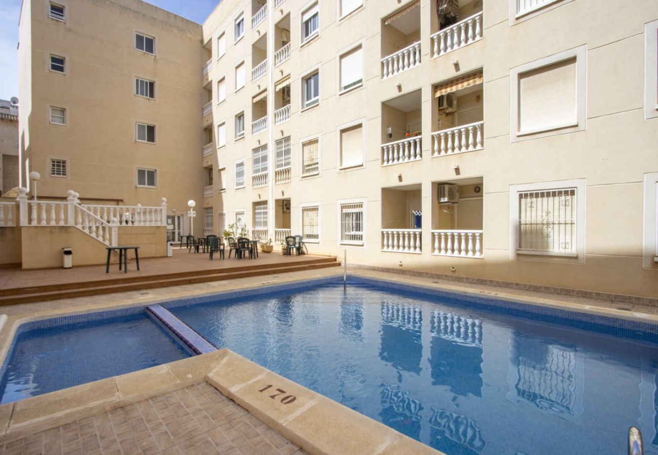 Apartment in Torrevieja - ID93