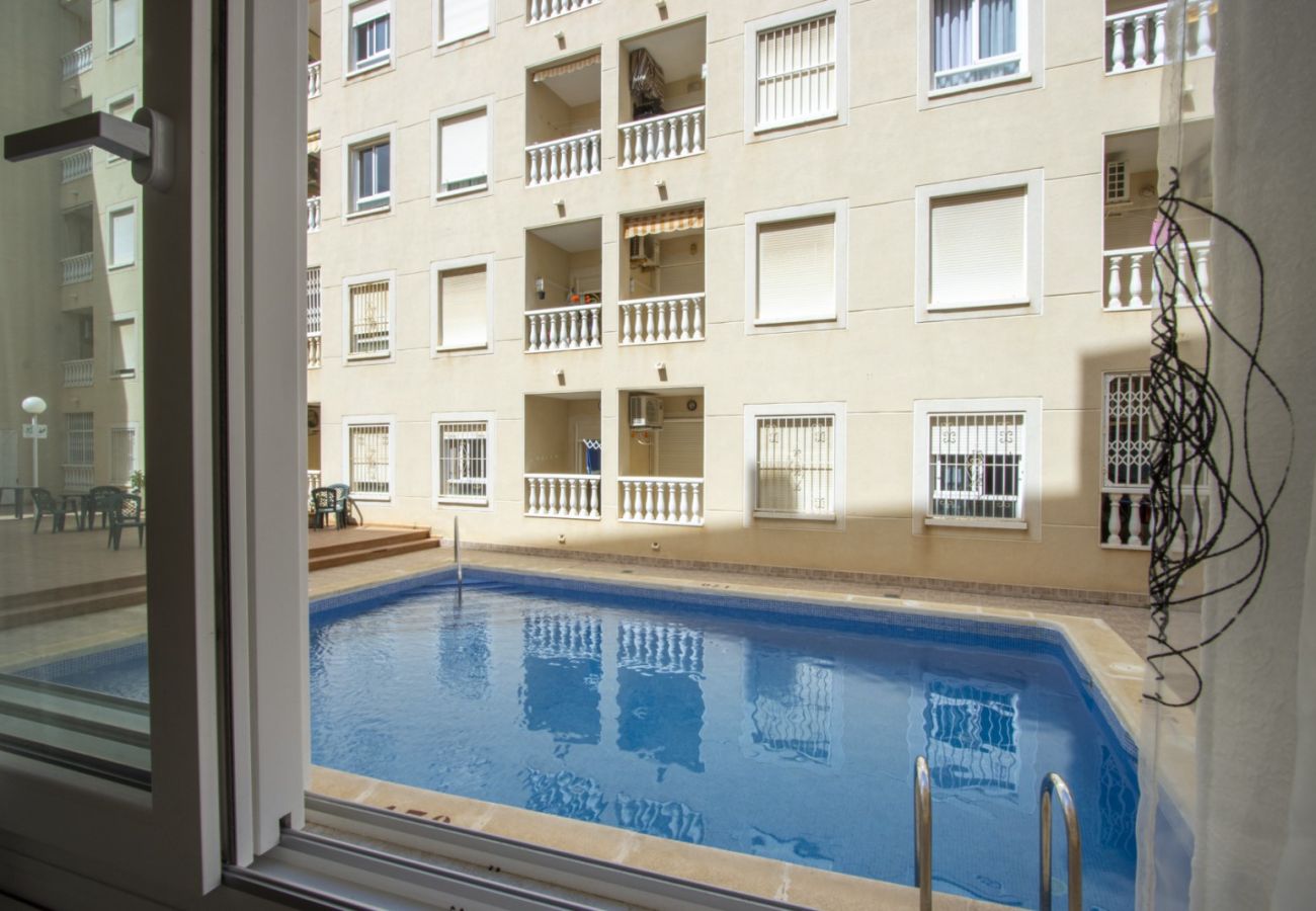 Apartment in Torrevieja - ID93