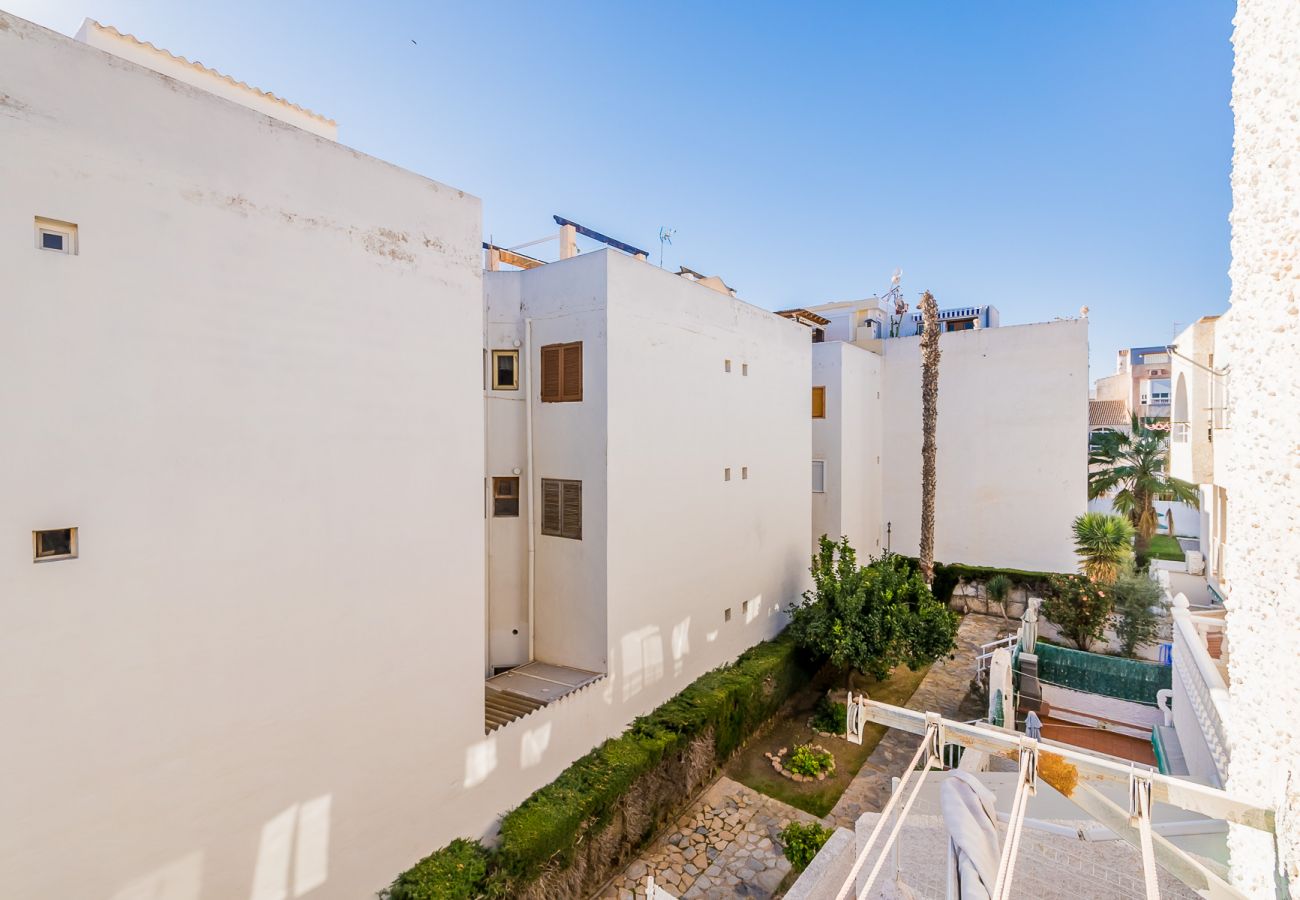 Apartment in Torrevieja - ID39