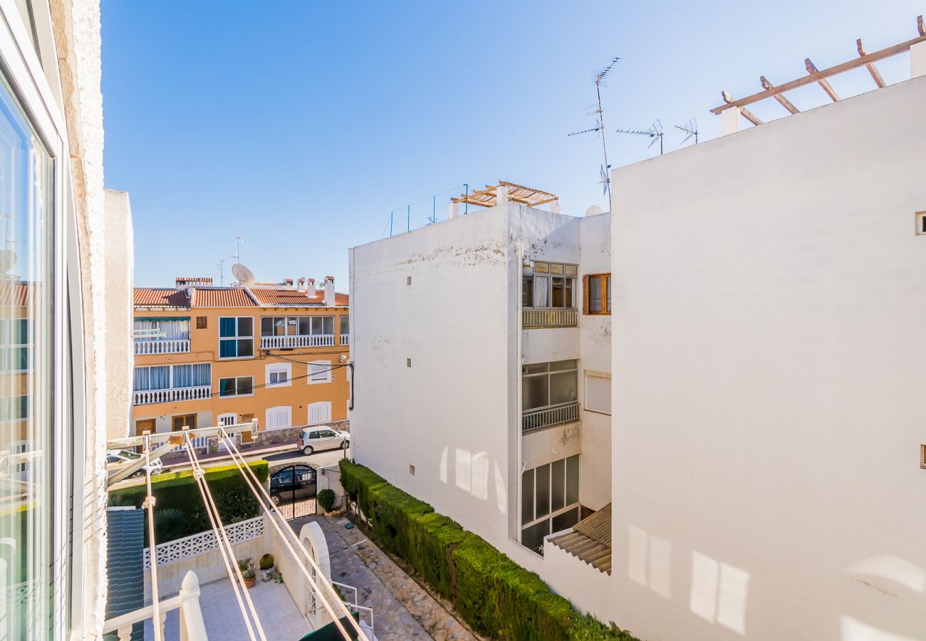 Apartment in Torrevieja - ID39