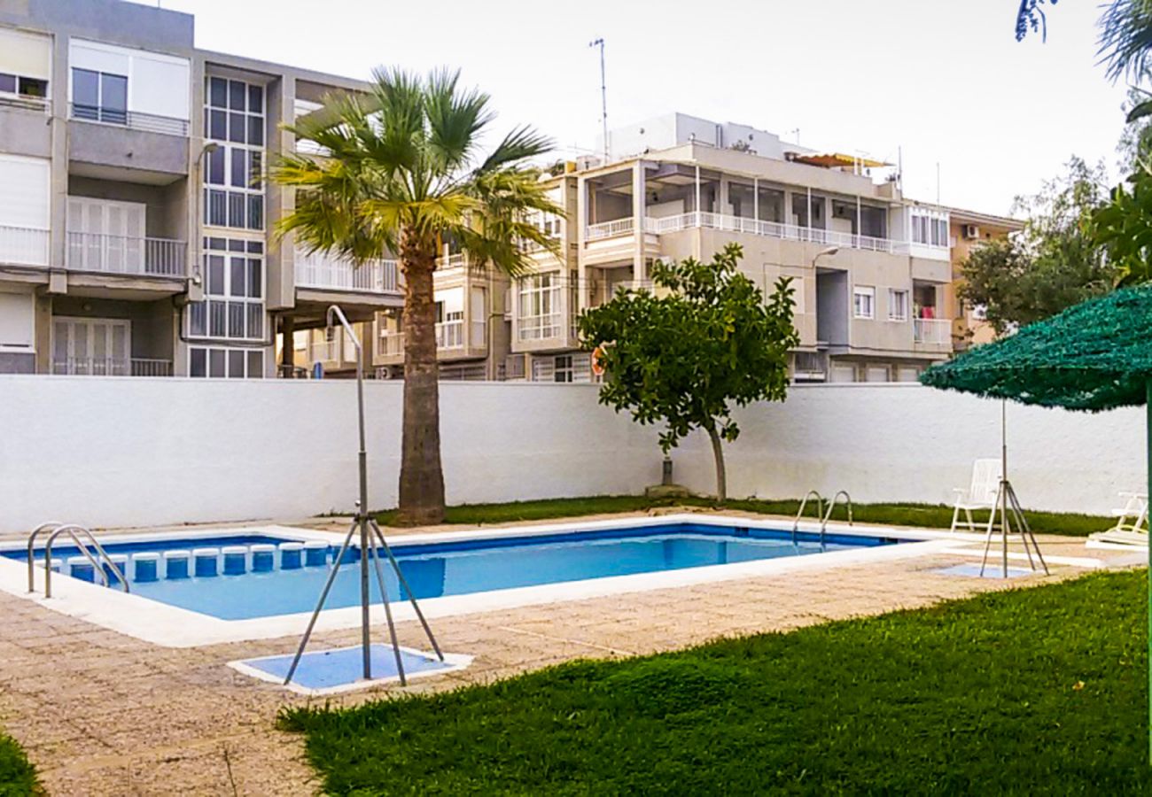 Apartment in Torrevieja - ID39