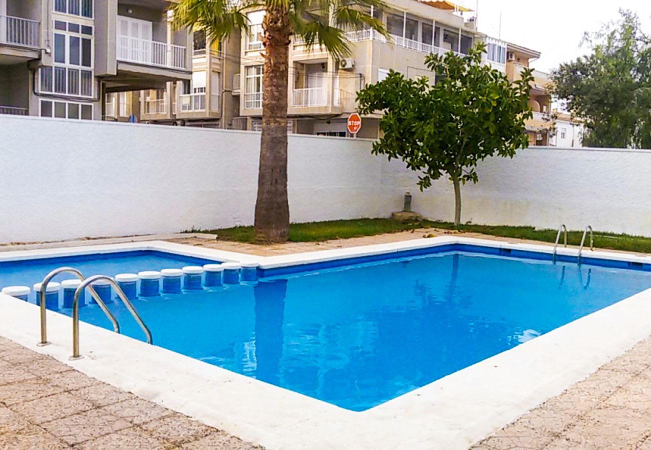 Apartment in Torrevieja - ID39