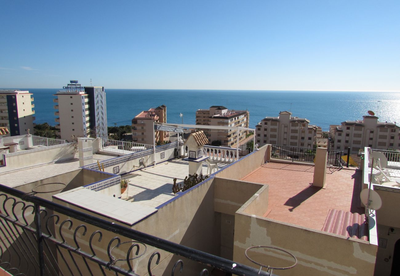 Apartment in La Mata - ID28