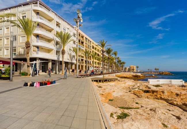 Apartment in Torrevieja - ID99