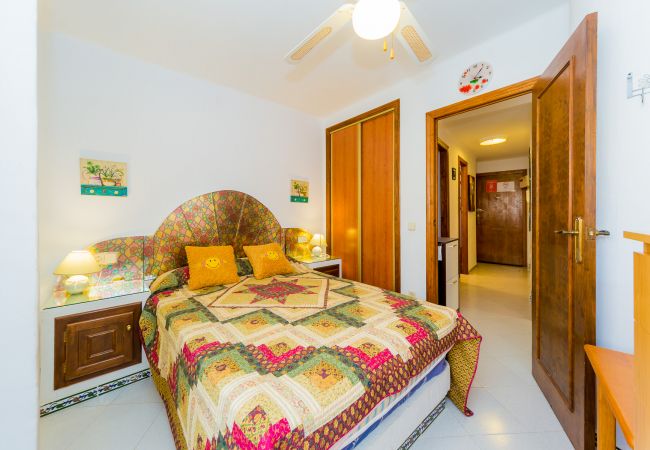 Apartment in Torrevieja - ID63