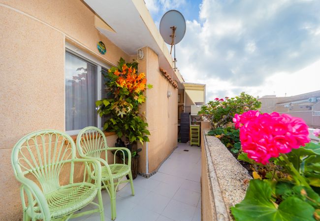 Apartment in Torrevieja - ID63