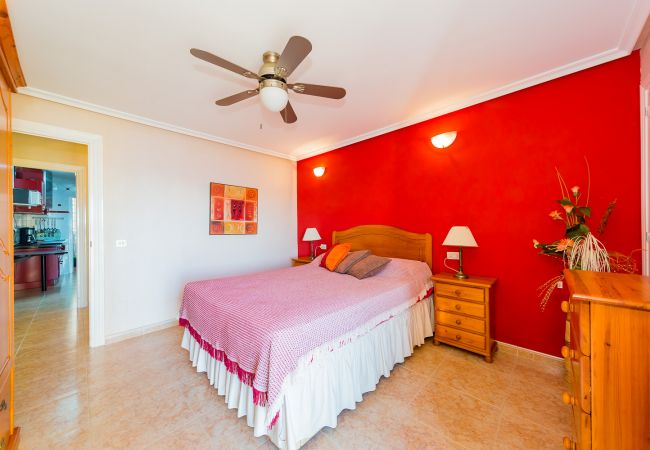 Apartment in Torrevieja - ID114