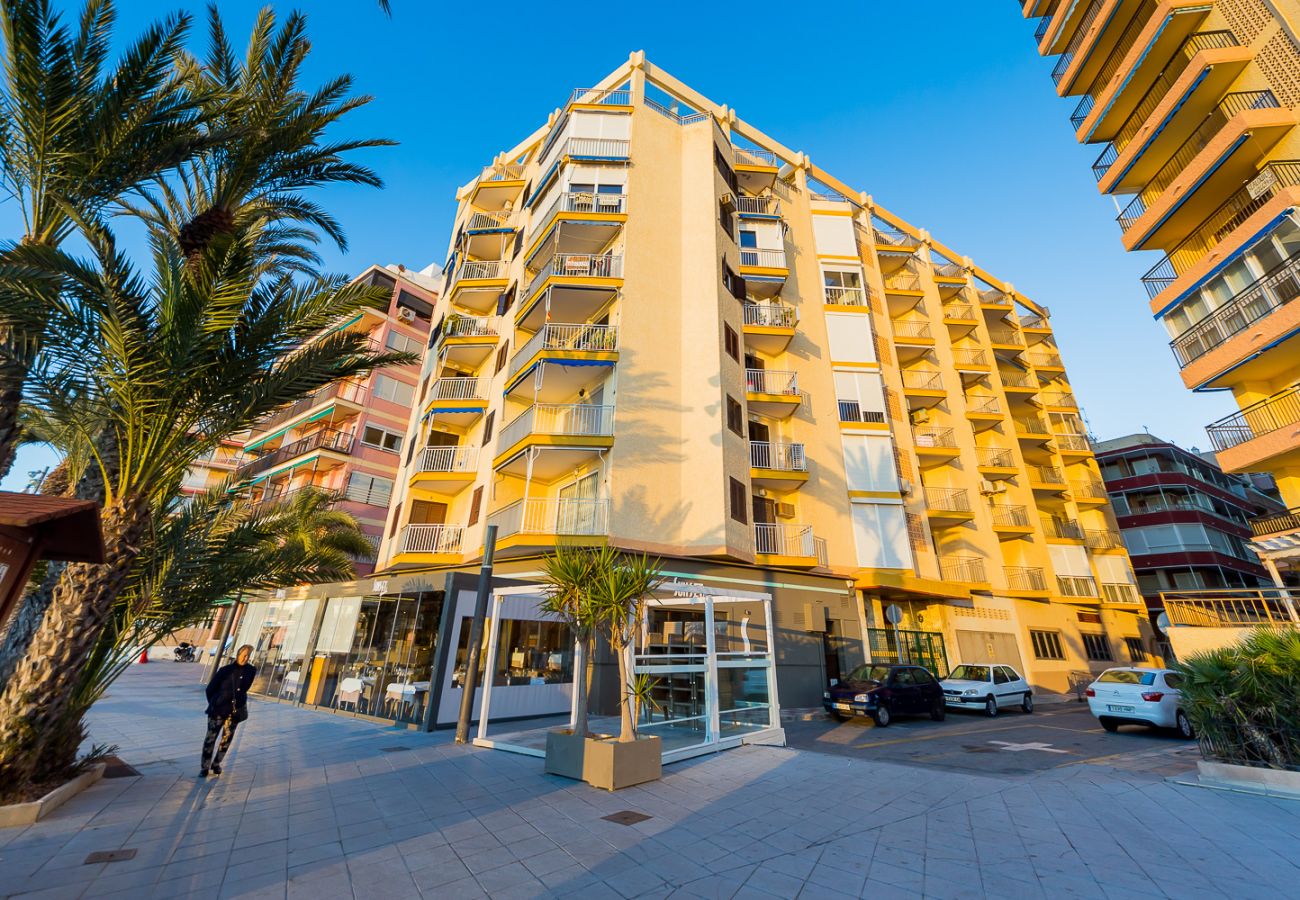 Apartment in Torrevieja - ID114