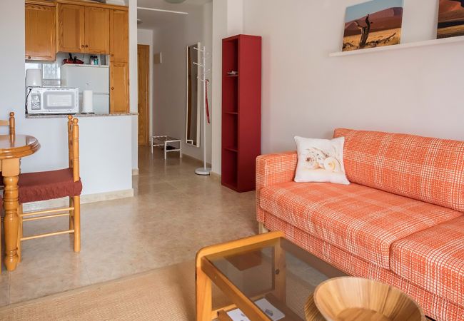 Apartment in Torrevieja - ID5