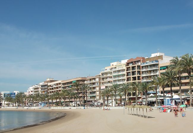 Apartment in Torrevieja - ID5