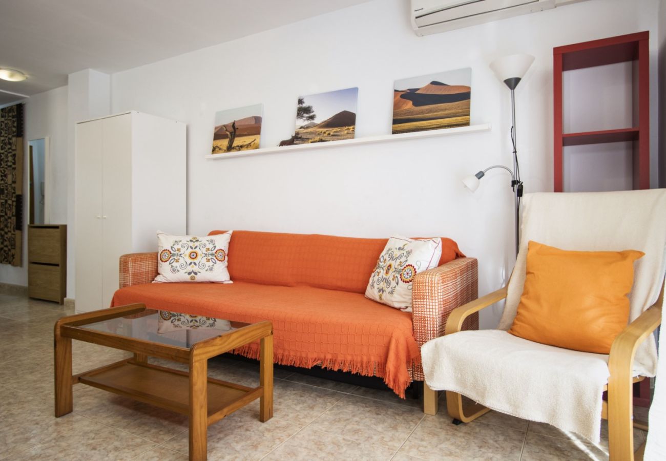 Apartment in Torrevieja - ID5