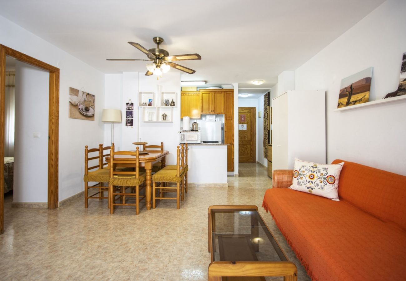 Apartment in Torrevieja - ID5