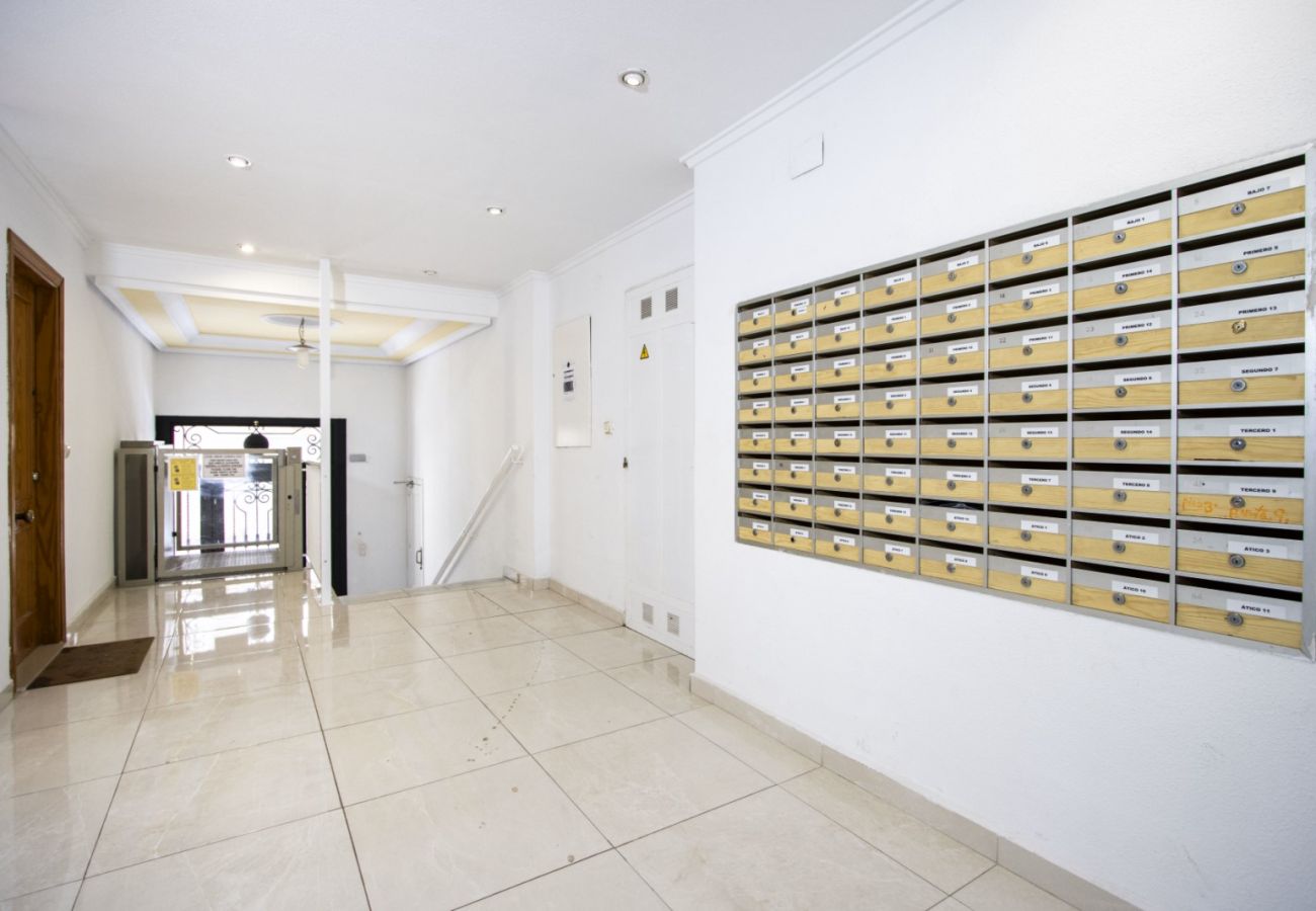 Apartment in Torrevieja - ID5