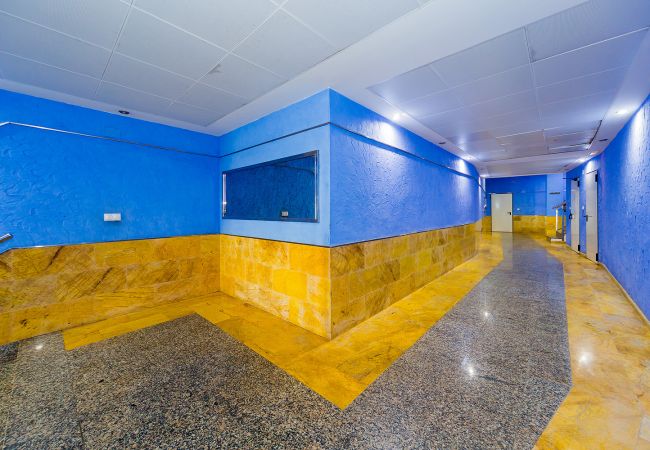 Apartment in Torrevieja - ID82
