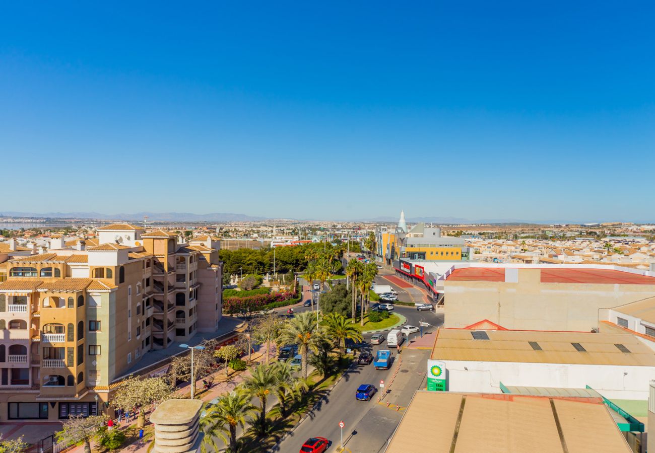 Apartment in Torrevieja - ID14