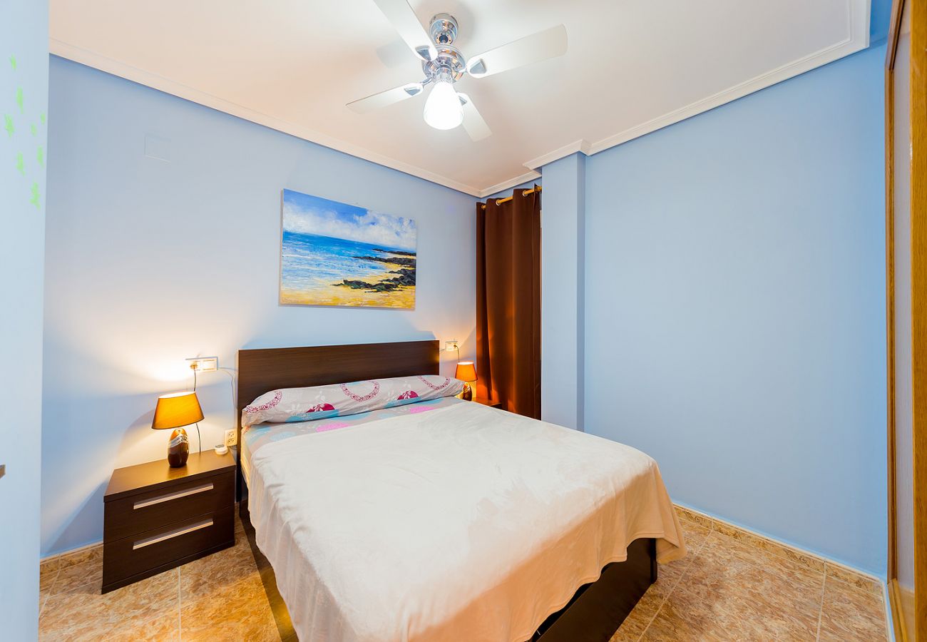 Apartment in Torrevieja - ID80