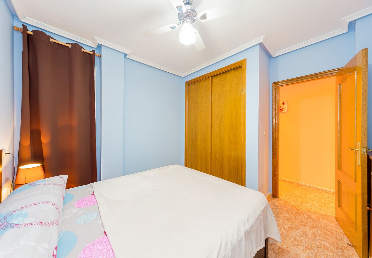 Apartment in Torrevieja - ID80