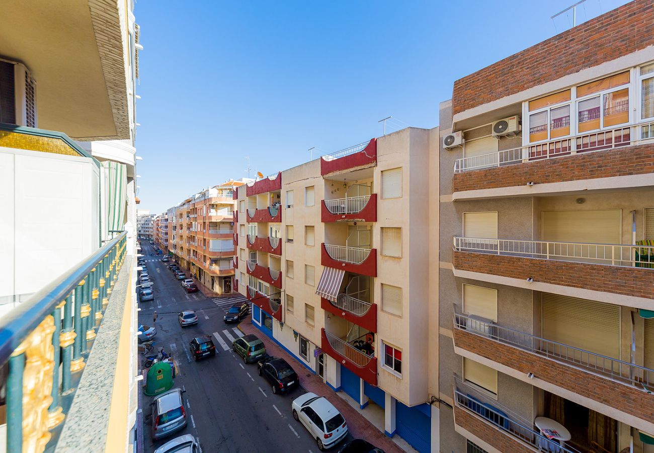 Apartment in Torrevieja - ID80