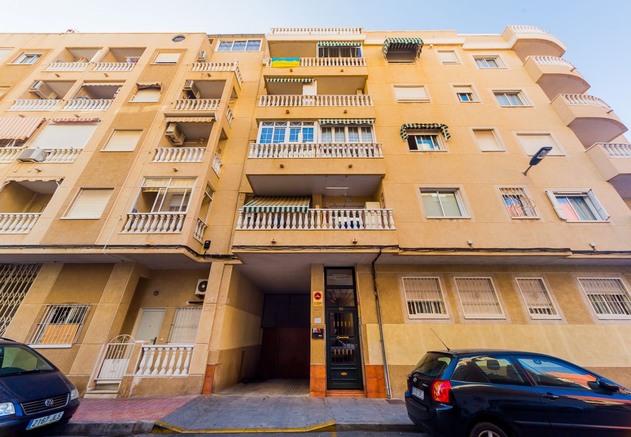 Apartment in Torrevieja - ID118