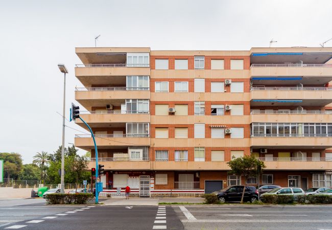Apartment in Torrevieja - ID106