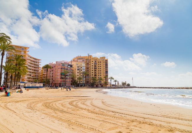 Apartment in Torrevieja - ID21