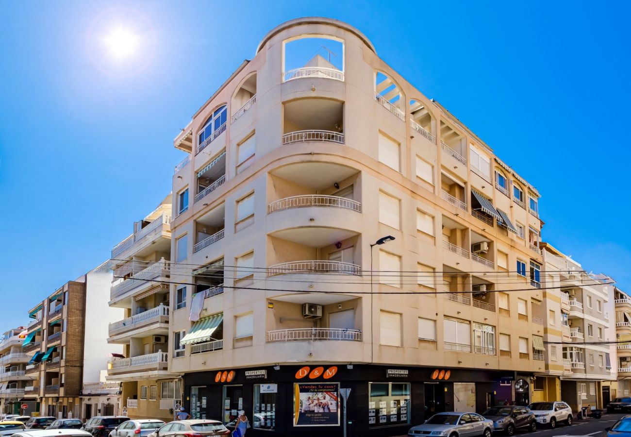 Apartment in Torrevieja - ID19