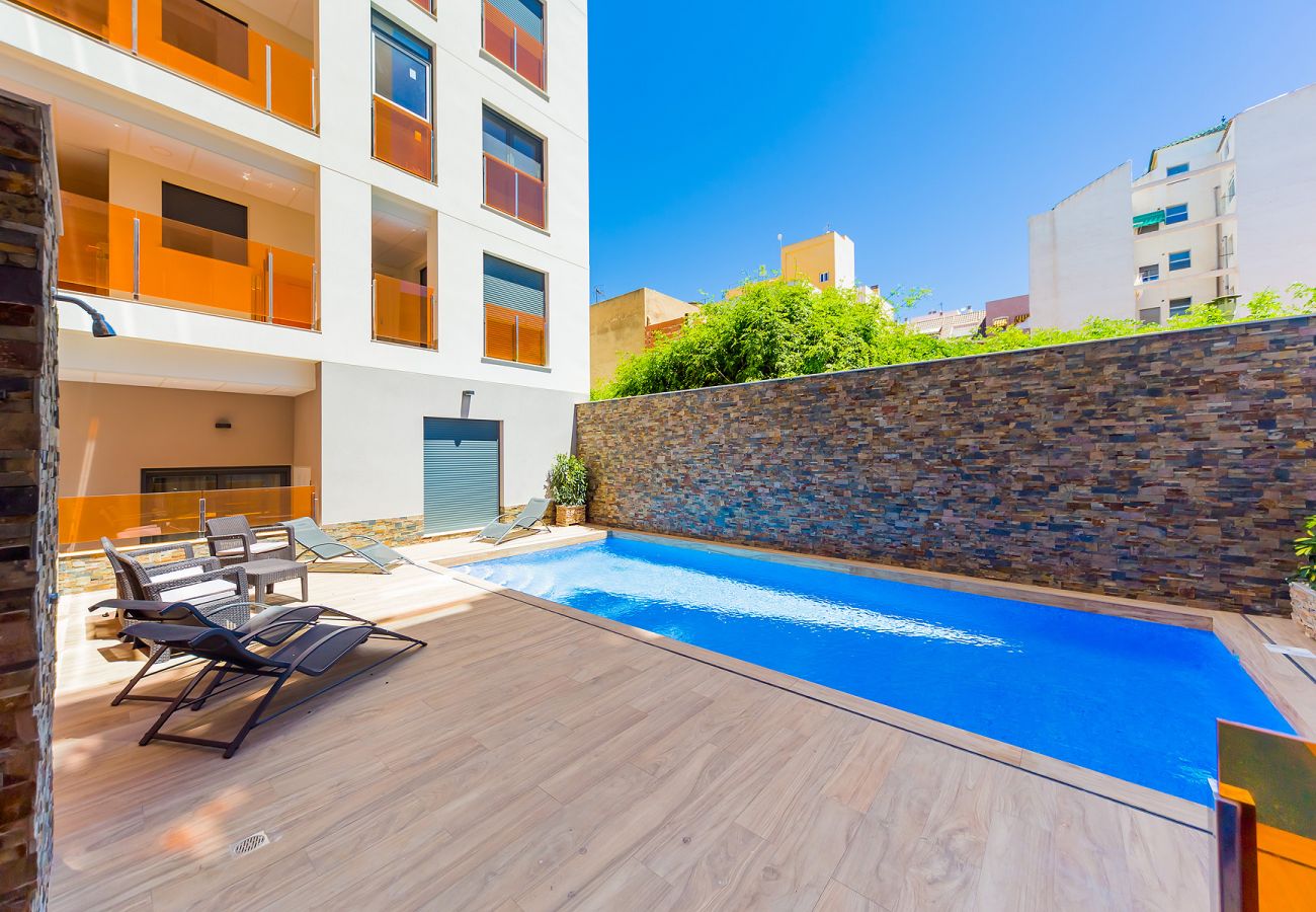 Studio in Torrevieja - ID127
