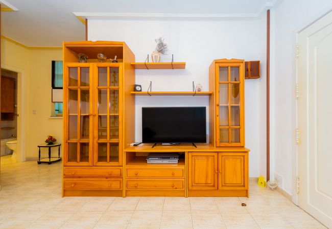 Apartment in Torrevieja - ID100