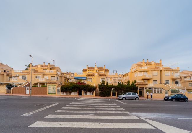 Apartment in Torrevieja - ID100