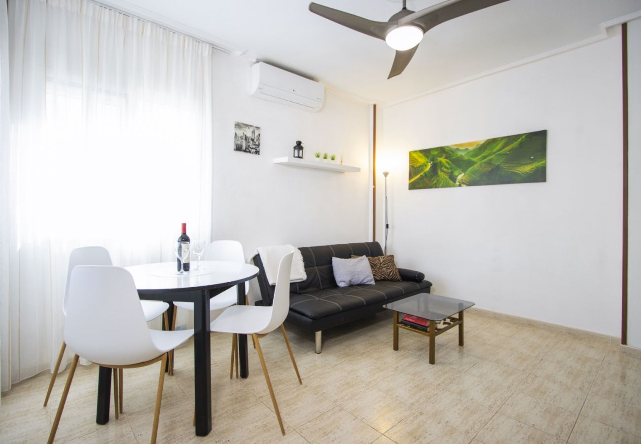 Apartment in Torrevieja - ID100