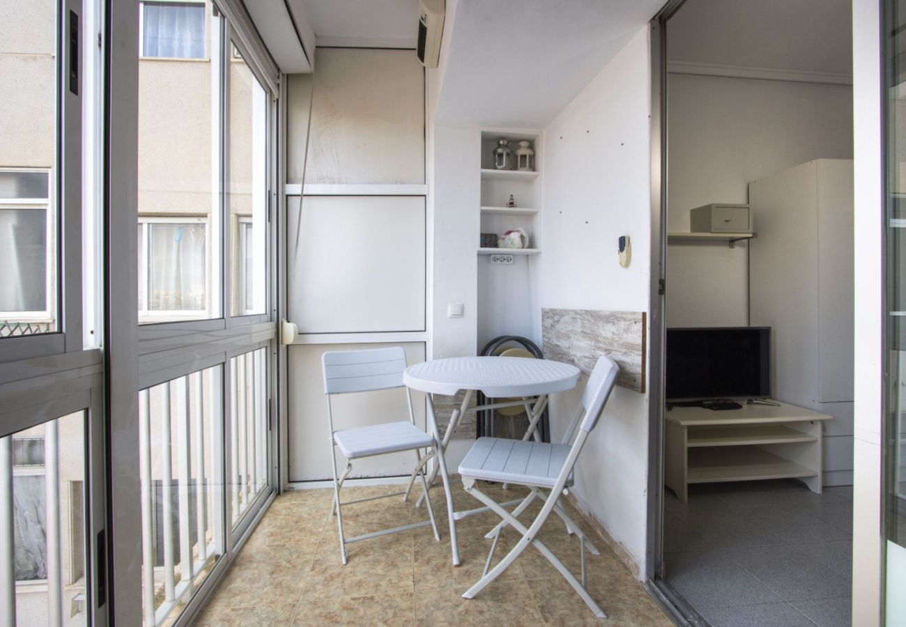 Studio in Torrevieja - ID49
