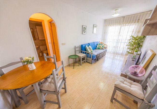 Apartment in Torrevieja - ID27