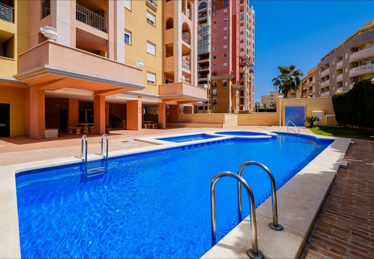 Apartment in Torrevieja - ID47