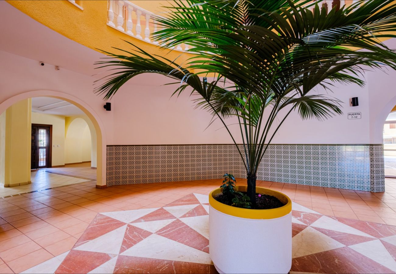 Apartment in Torrevieja - ID47