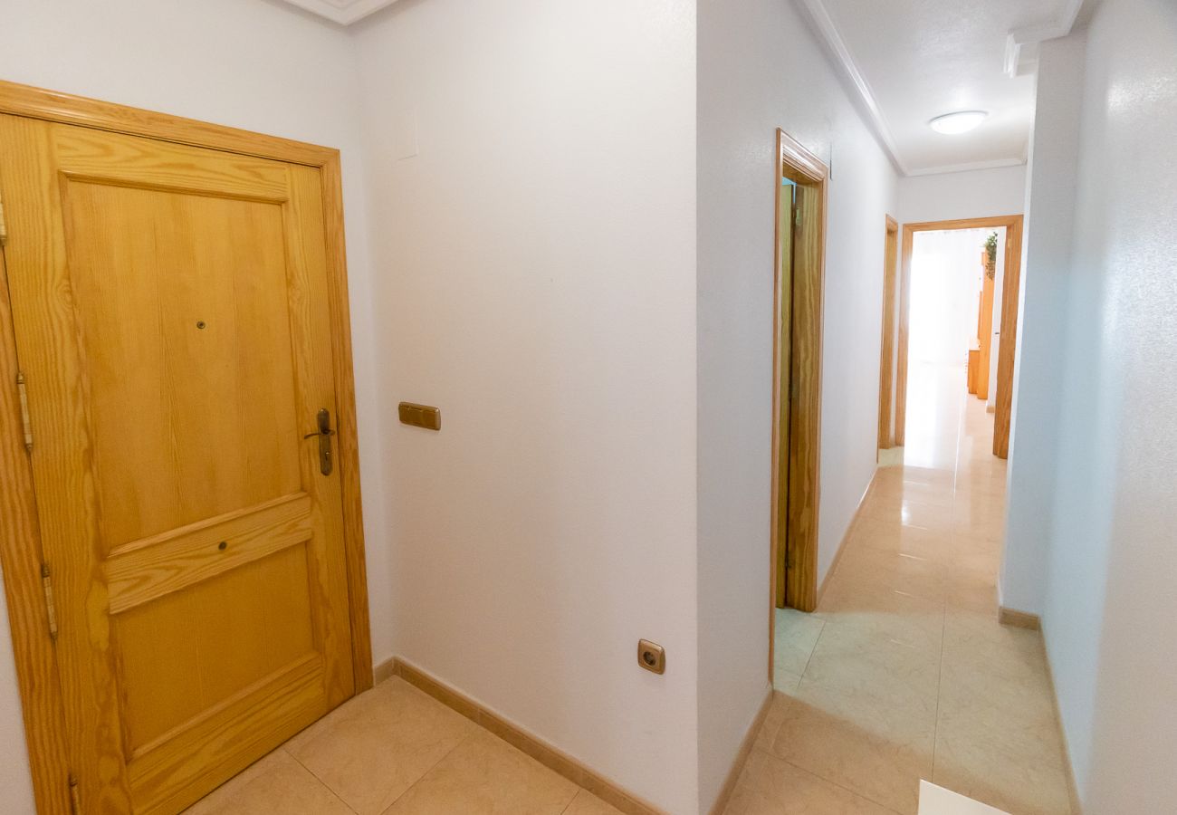 Apartment in Torrevieja - ID69