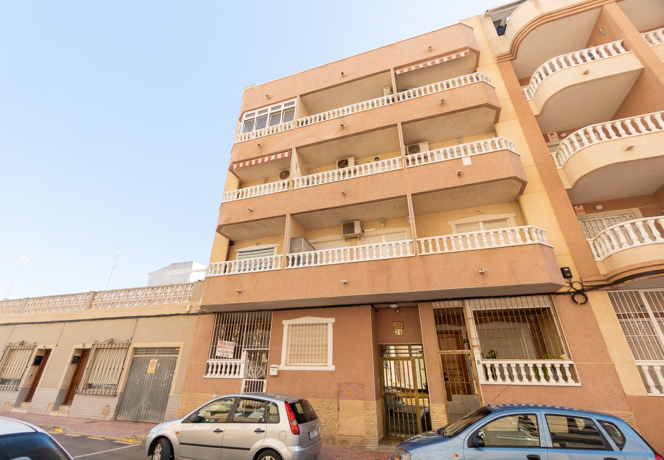 Apartment in Torrevieja - ID69