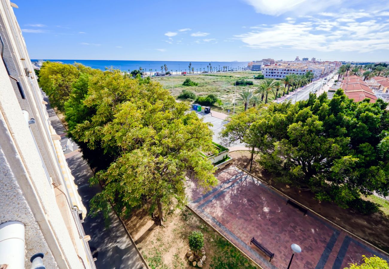 Apartment in Torrevieja - ID85