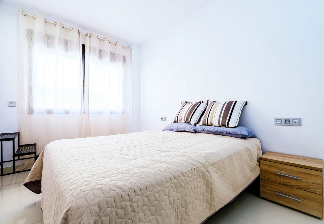 Apartment in Torrevieja - ID140