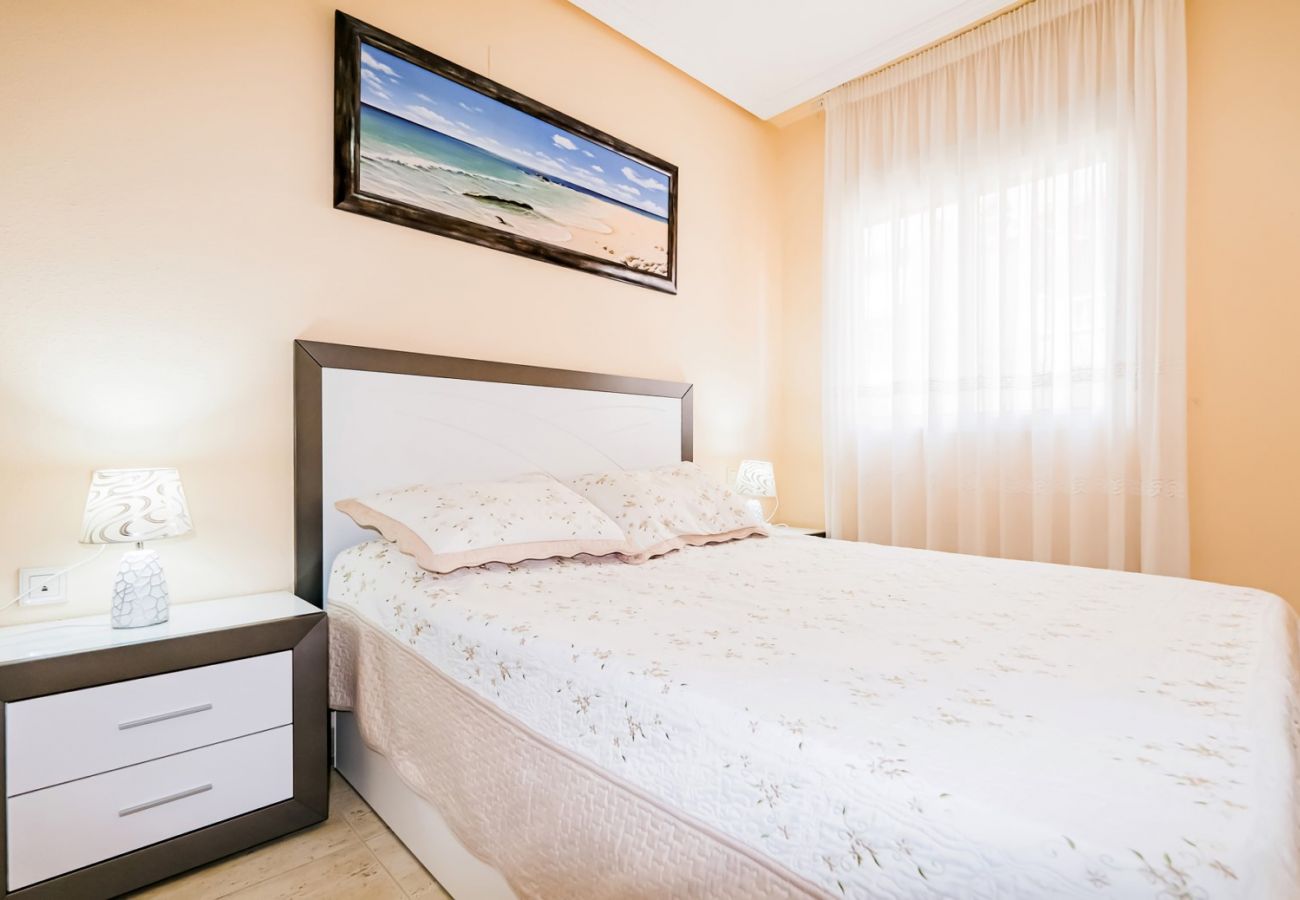 Apartment in Torrevieja - ID103