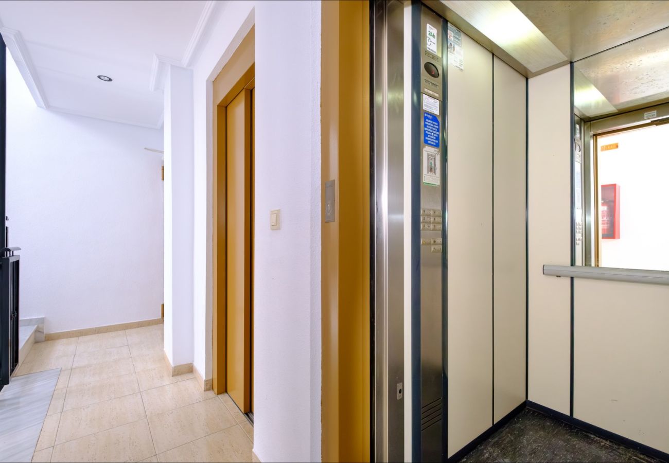 Apartment in Torrevieja - ID103