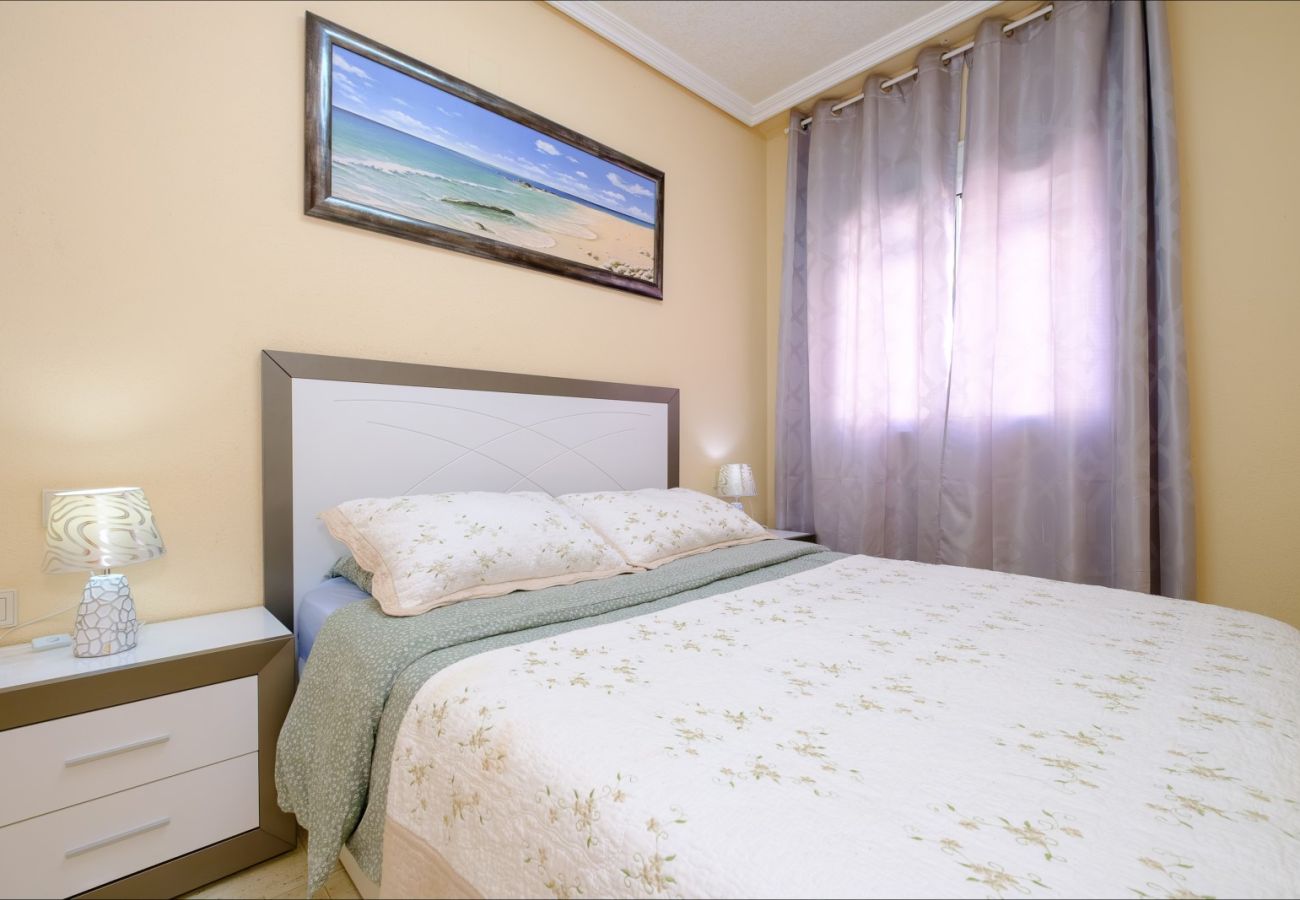Apartment in Torrevieja - ID103