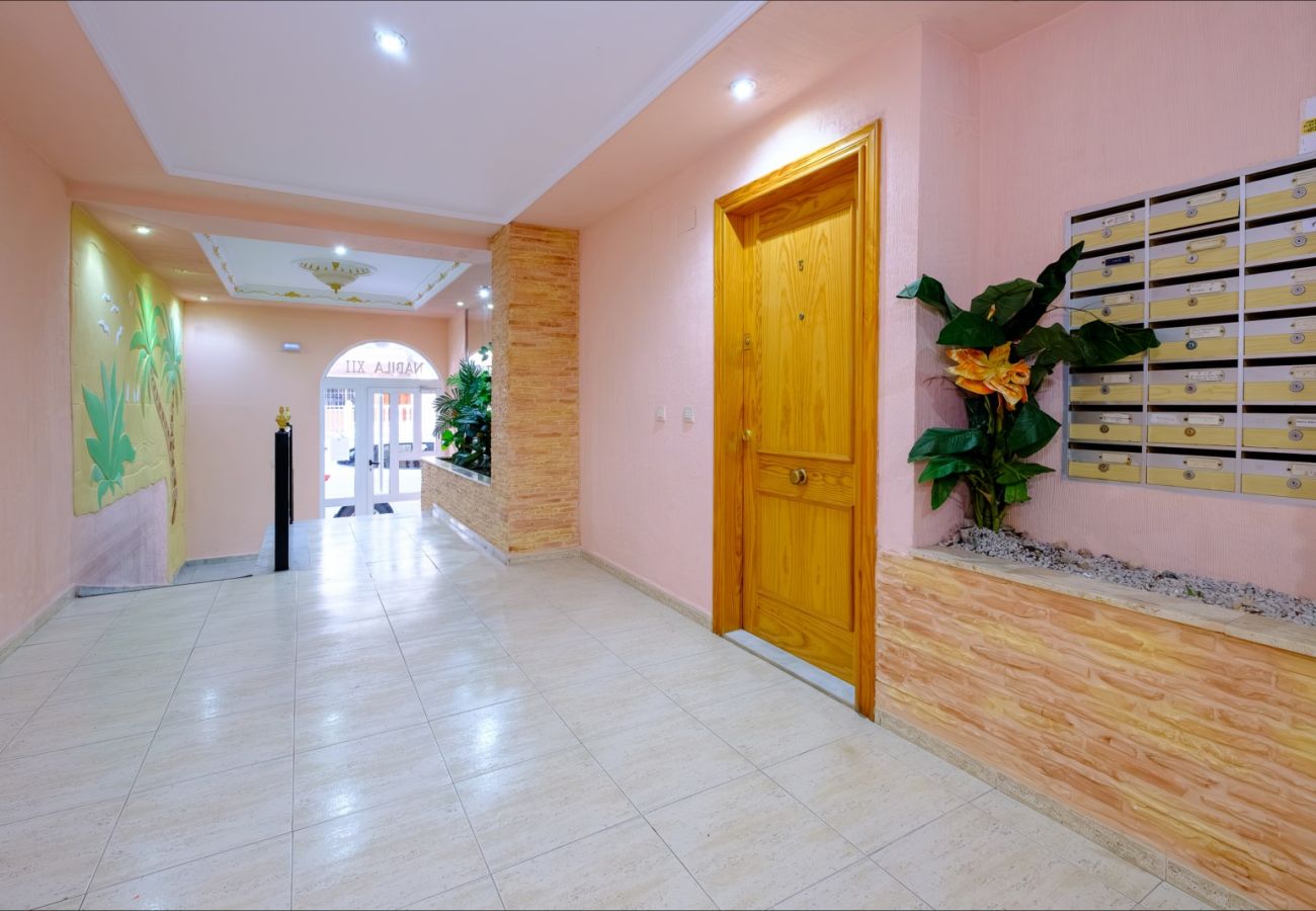 Apartment in Torrevieja - ID103