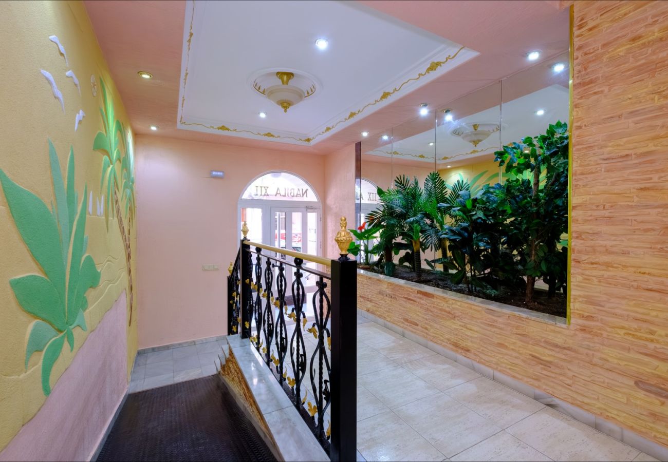 Apartment in Torrevieja - ID103