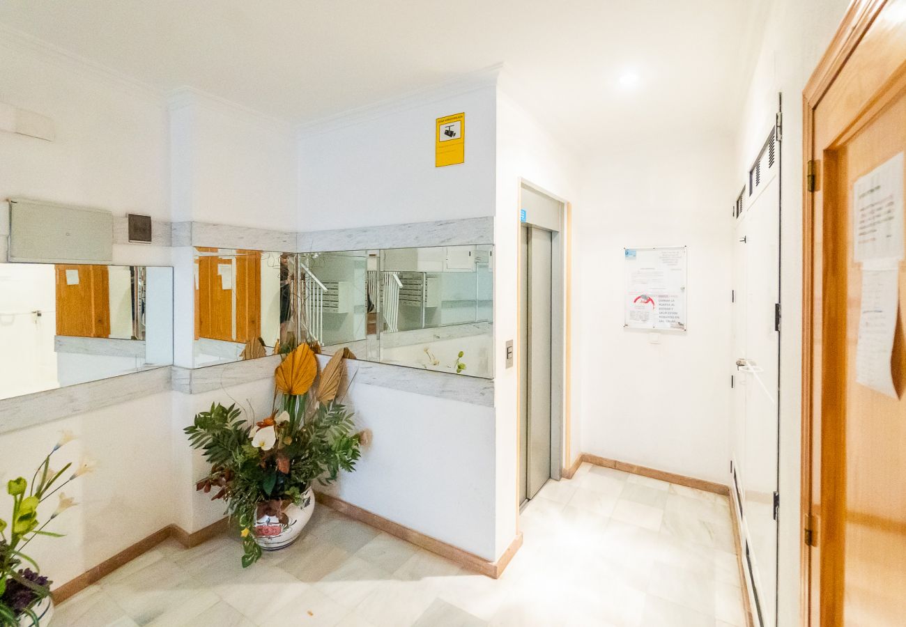 Apartment in Torrevieja - ID108