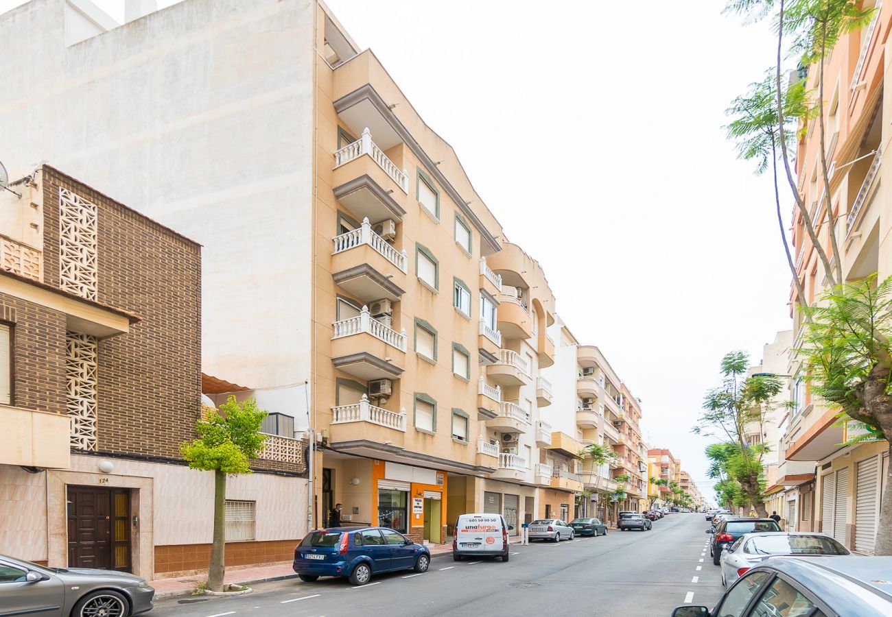 Apartment in Torrevieja - ID108