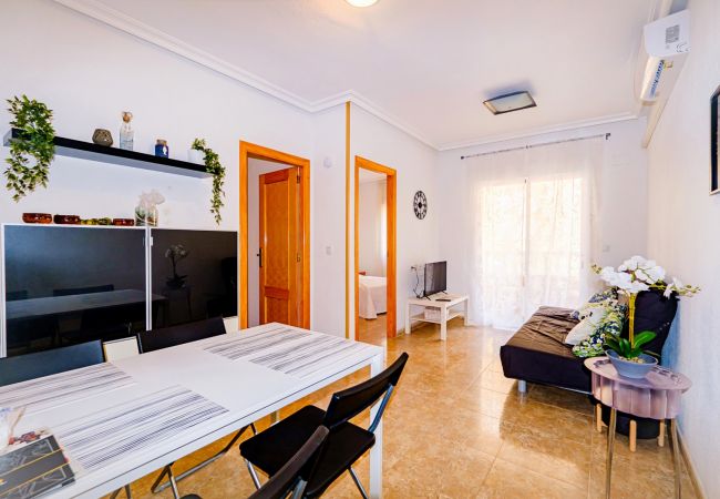 Apartment in Torrevieja - ID90